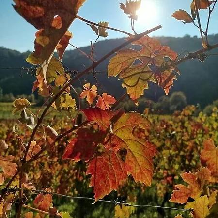 Casa Re - E Vino A Bed & Breakfast 3*