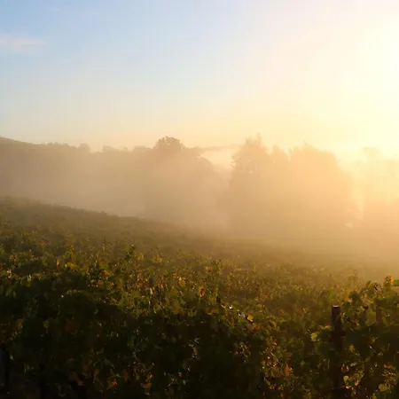 Casa Re - E Vino A 3*