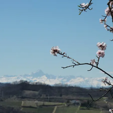 Casa Re - E Vino A Bed & Breakfast Montabone