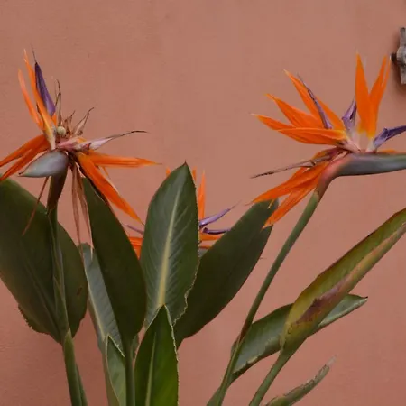 Bed & Breakfast Casa Re - E Vino A