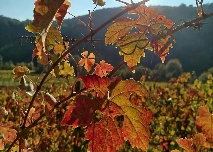 Casa Re - E Vino A Bed & Breakfast 4*