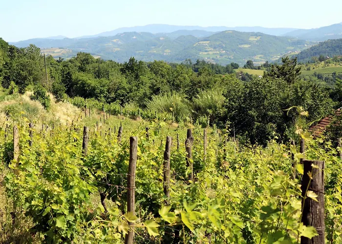 Casa Re - E Vino A 4*