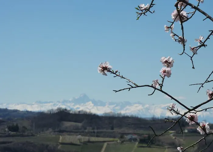 Casa Re - E Vino A Bed & Breakfast Montabone